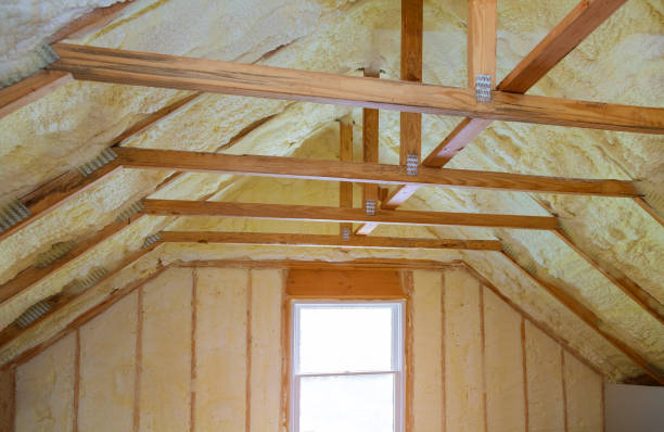 Best Insulation Maintenance and Repair in New Ellenton, SC