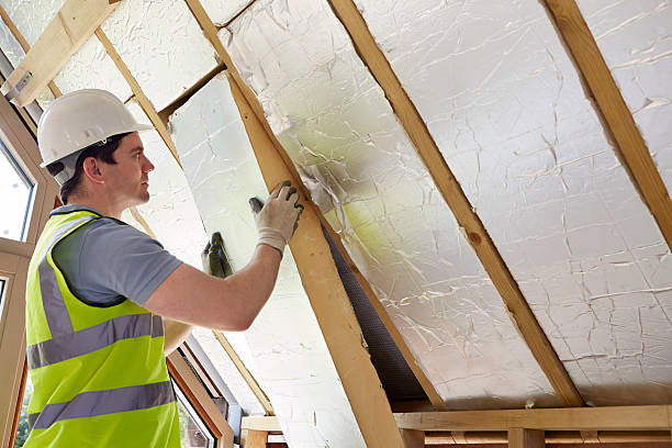 Best Geographic-Specific Insulation Services in New Ellenton, SC