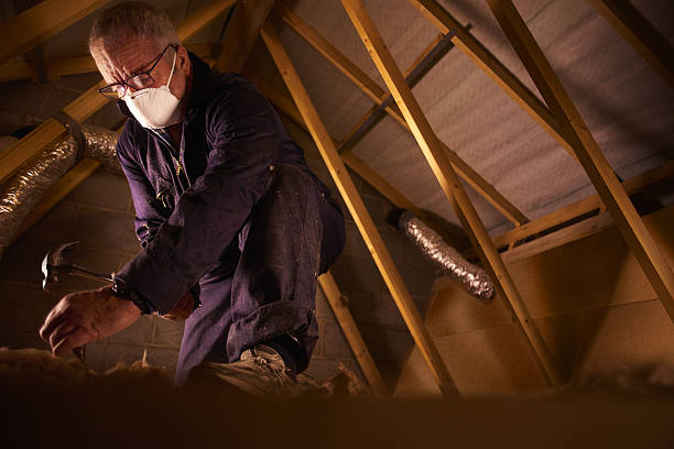 Best Specialized Insulation Services in New Ellenton, SC
